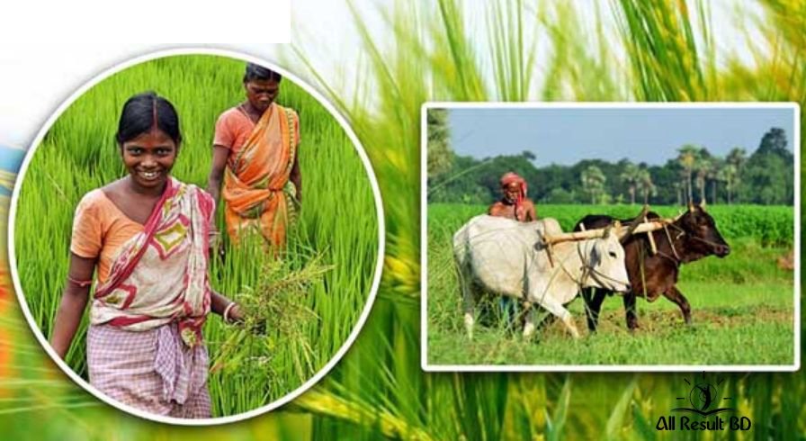 রবি মৌসুম ও খরিপ মৌসুমের মধ্যে পার্থক্য কী?