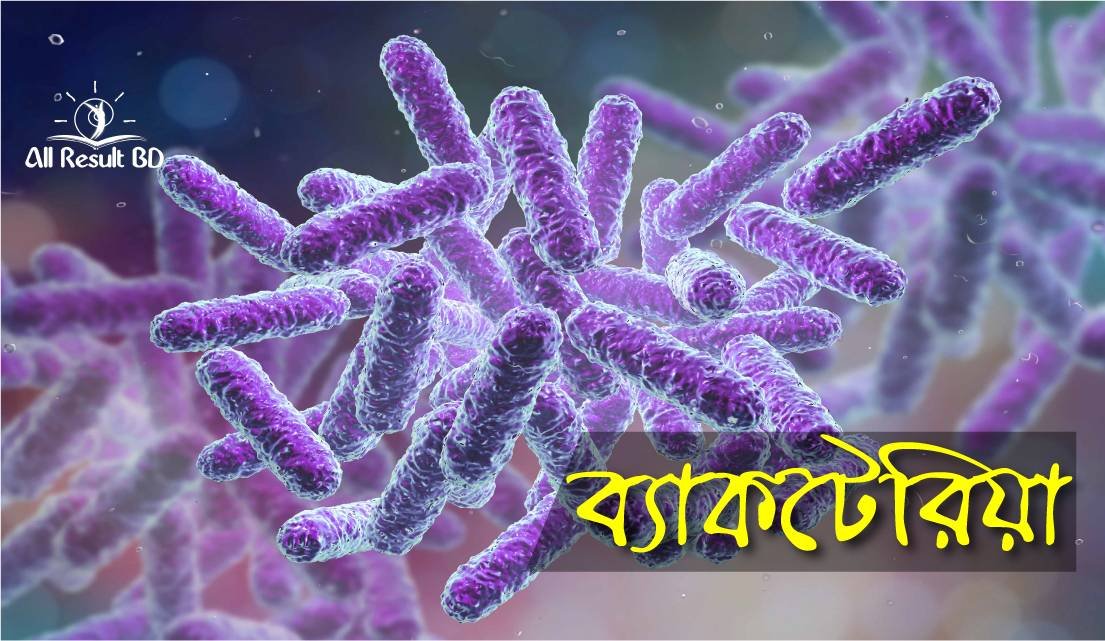 ব্যাকটেরিয়ার অর্থনৈতিক গুরুত্ব বিশ্লেষণ কর।