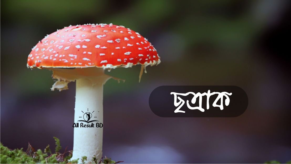 ছত্রাককে মৃতজীবী বলা হয় কেন?