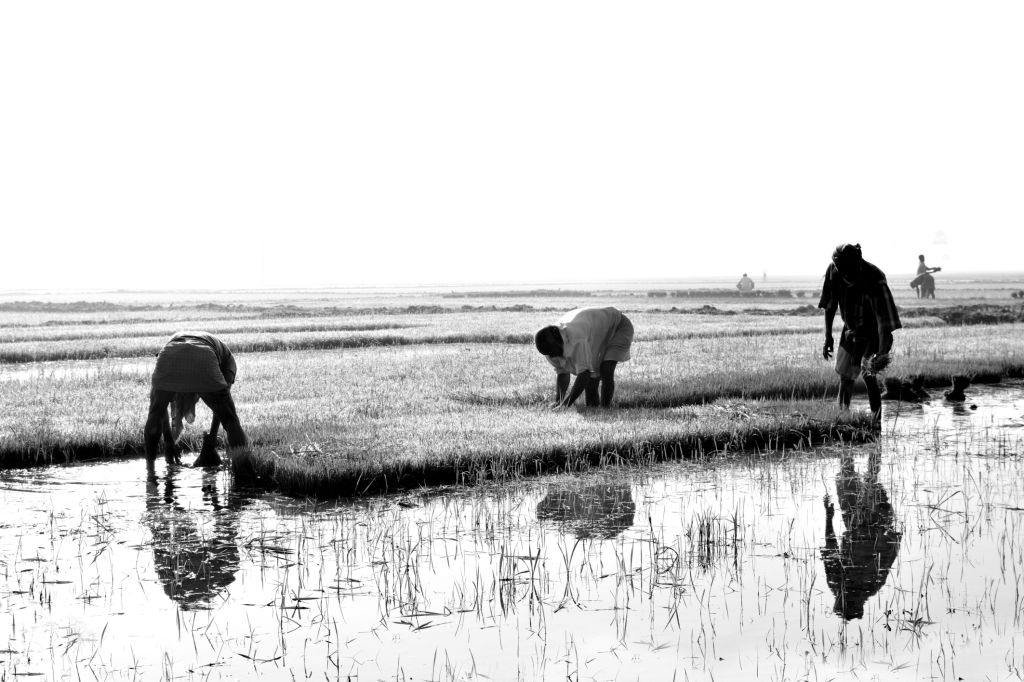 তােমার গ্রামের অন্যান্য কৃষিজীবীদের স্বাবলম্বি করতে তিনি কীভাবে সহায়তা করতে পারবেন?