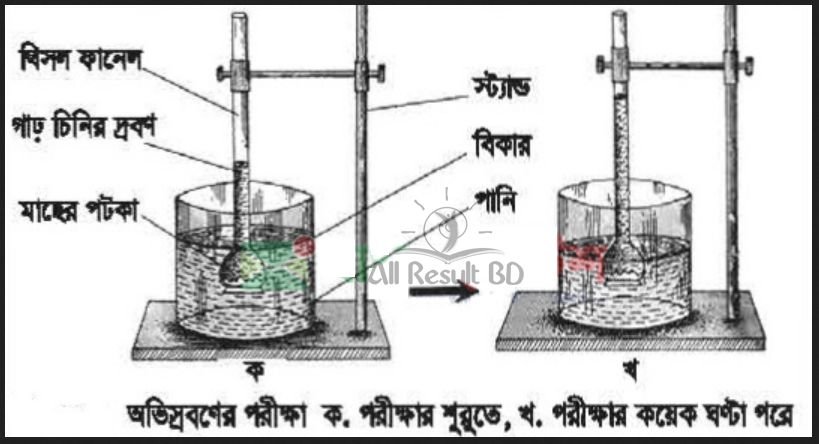 তোমার প্রতিদিনের পর্যবেক্ষণ থেকে ব্যাপন ও অভিস্রবণ এর দুটি করে ঘটনা উল্লেখ করো। ব্যাপন ও অভিস্রবণ প্রক্রিয়া থেকে যে কোন একটির জন্য পরীক্ষা সম্পন্ন করে সম্পূর্ণ প্রক্রিয়াটি ধারাবাহিকভাবে লেখ
