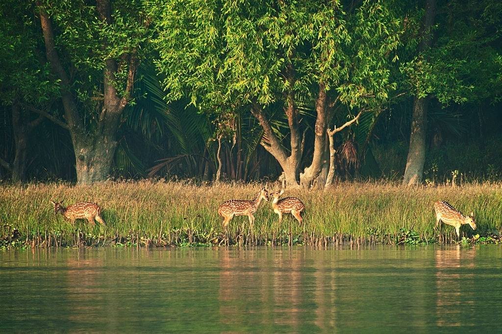 নিজের ভ্রমণের অভিজ্ঞতা অথবা কারো কাছ থেকে শোনা একটি ভ্রমণ কাহিনীর বর্ণনা দিয়ে ১৫০ শব্দের মধ্যে একটি নিবন্ধ রচনা করো