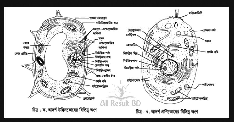 ৭ম শ্রেণি ৯ম সপ্তাহের বিজ্ঞান অ্যাসাইনমেন্টের উত্তর