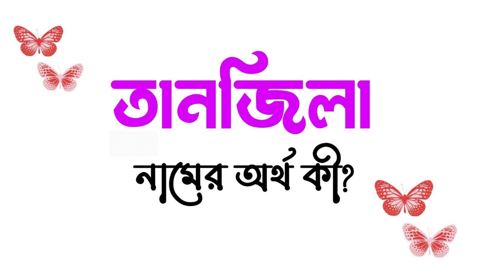 তানজিলা নামের অর্থ কি? (বাংলা ও ইসলামিক অর্থ জানুন) – Tanjila Namer Ortho